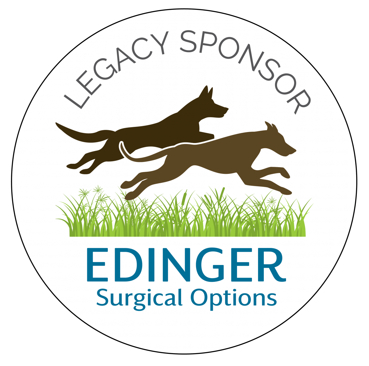 edinger surgical options