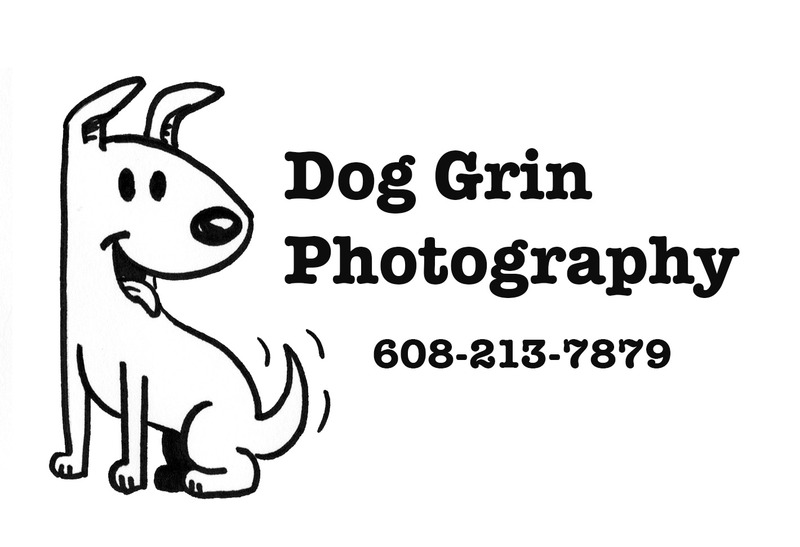 Dog Grin Photography
