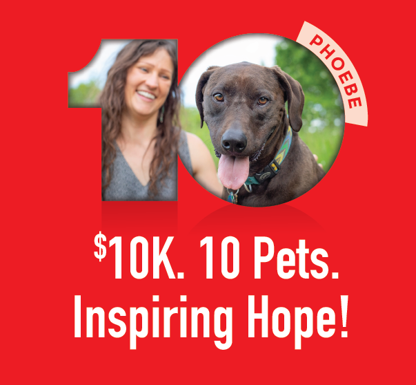 $10K. 10 Pets. Inspiring Hope!