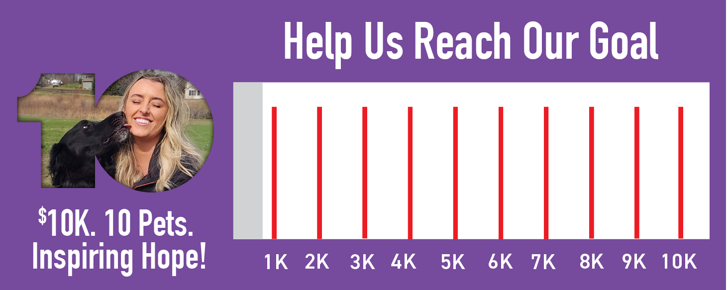 $10K. 10 Pets. Inspiring Hope!