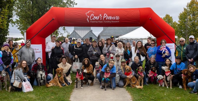 Czar’s Promise Inspiring Hope Walk