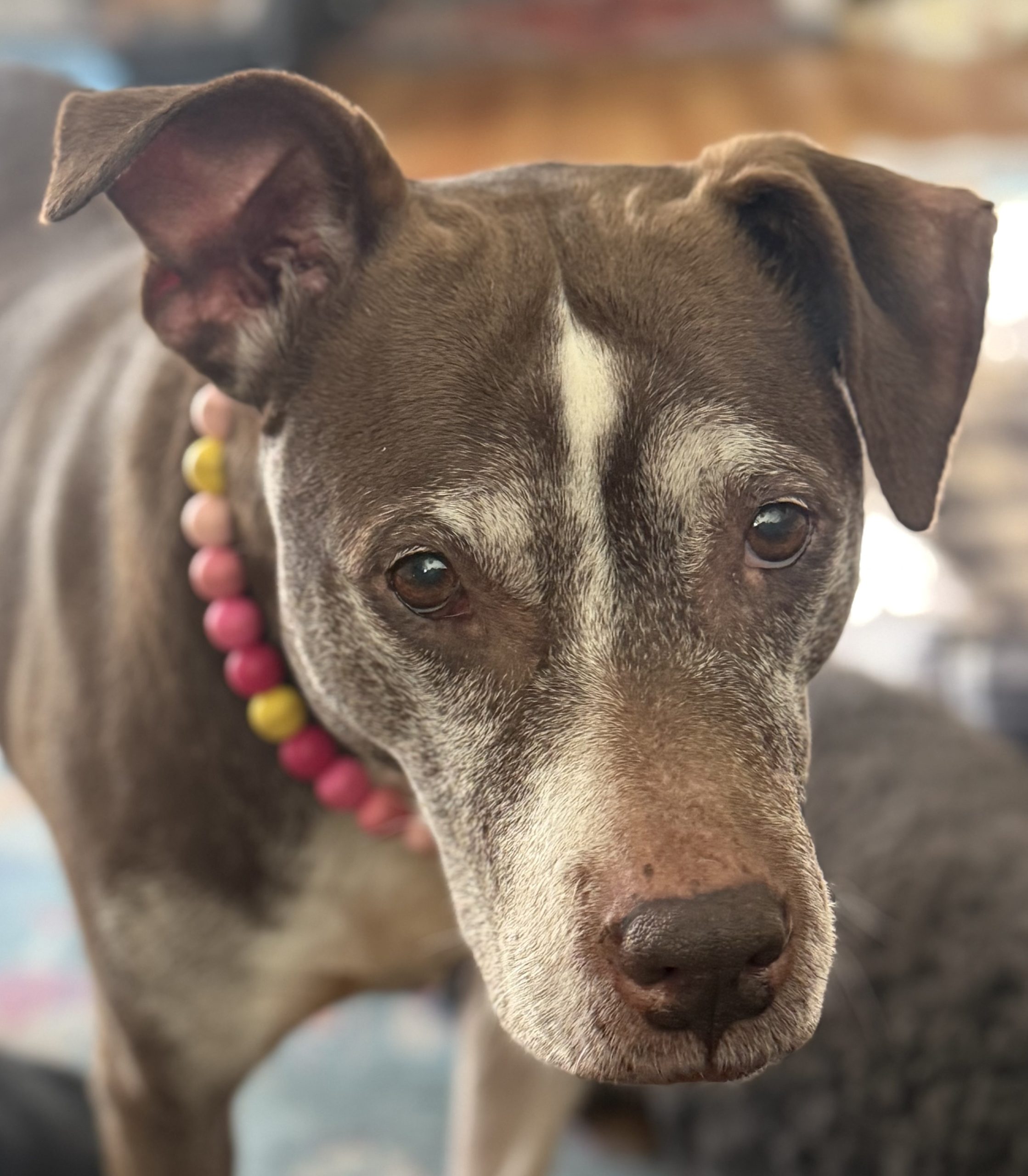 Lita with necklace