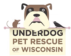 Underdog Rescue