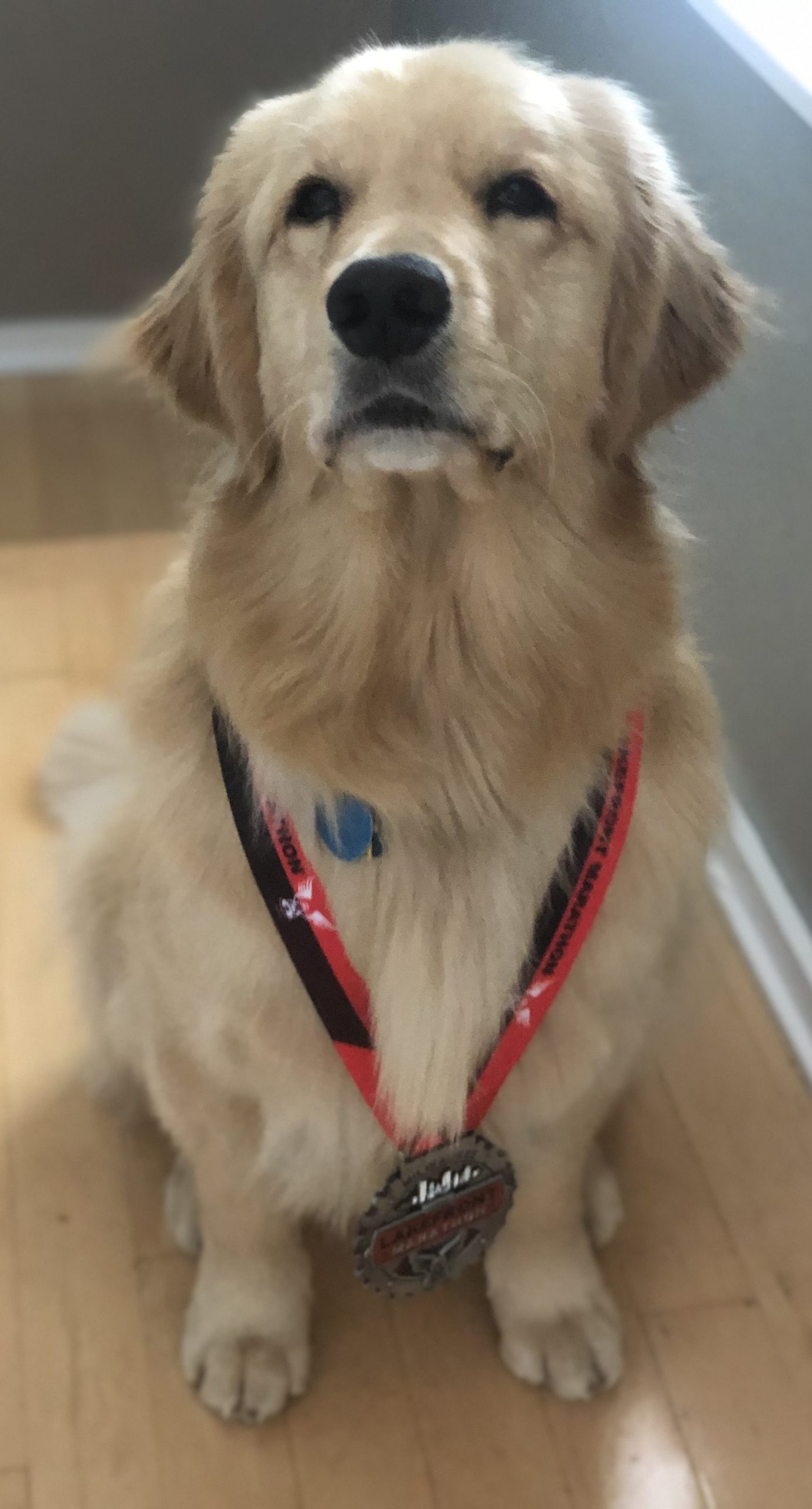 Drake wearing a medal