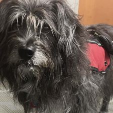 OSKAR